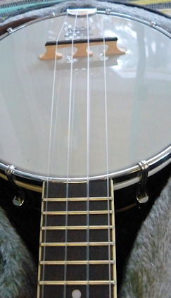 Gold Tone banjo uke