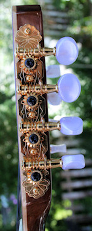 Lanikai O8-E headstock, side view