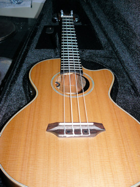 Kala cedar in case