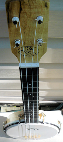 Waverly Street banjo ukulele